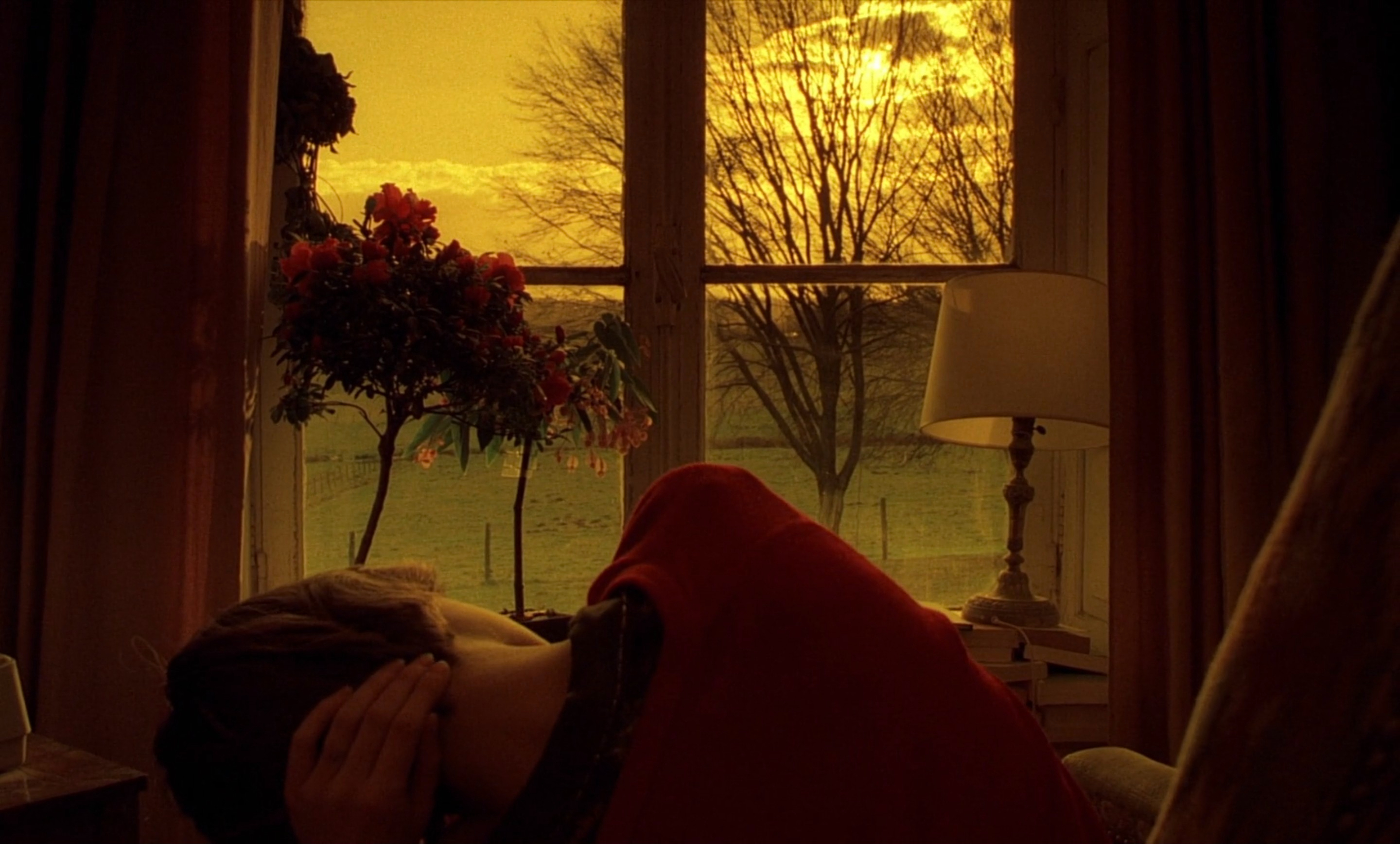 The Double Life of Veronique&nbsp;(1991)