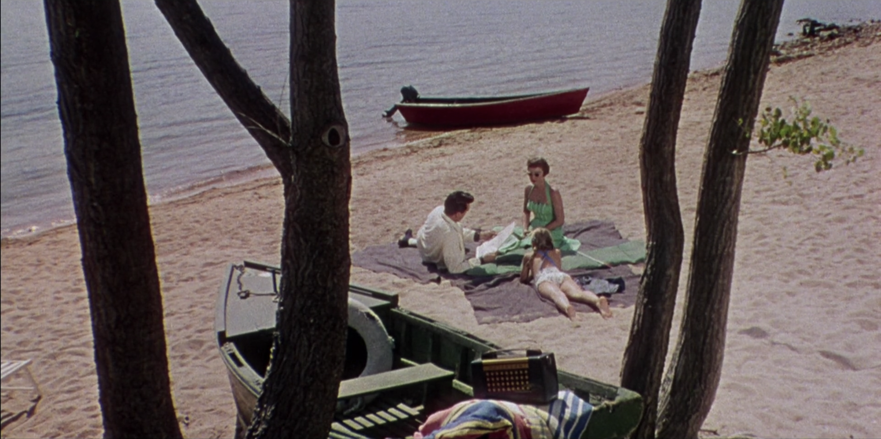 Magnificent Obsession (1954)