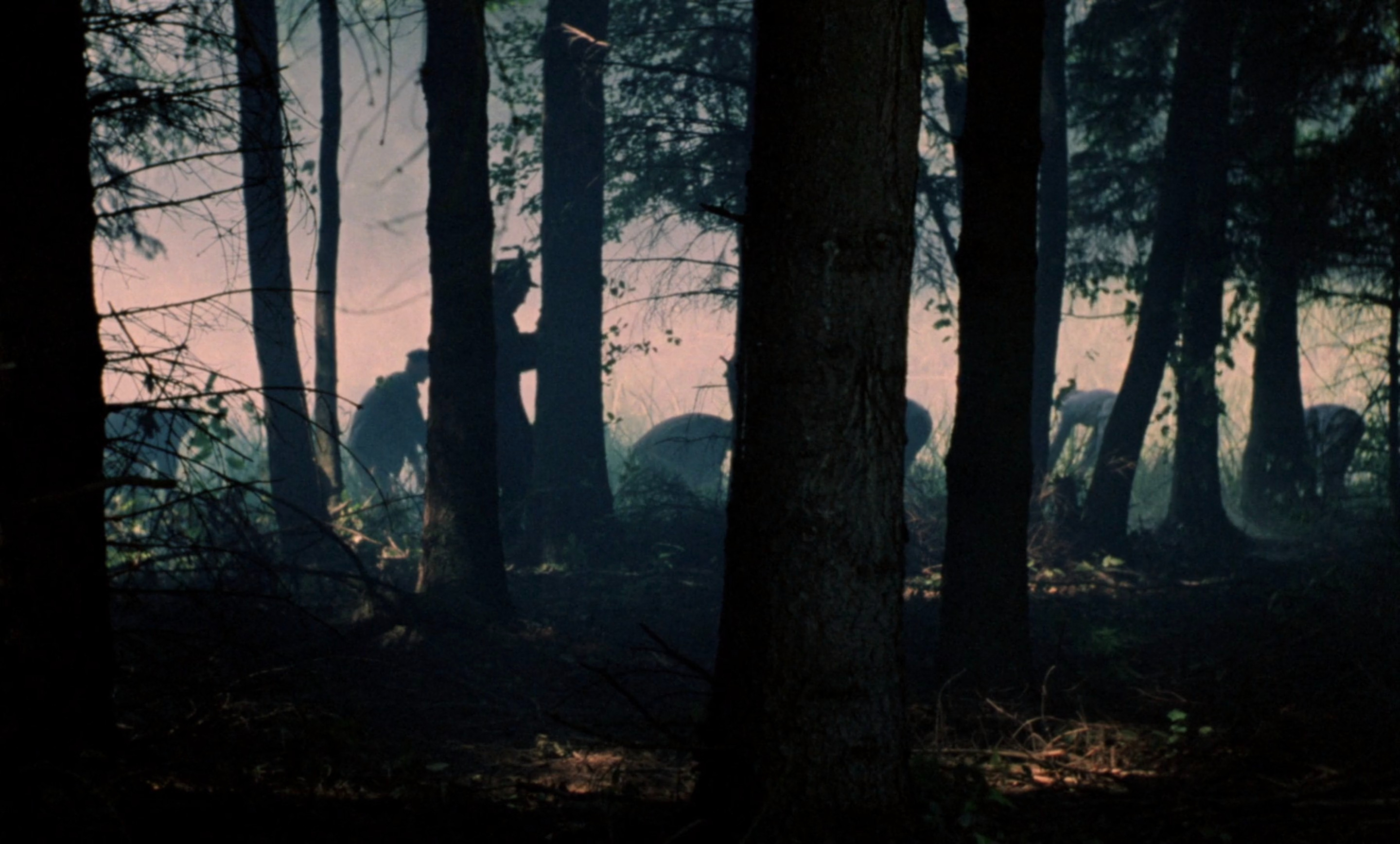 The Scar (1976)