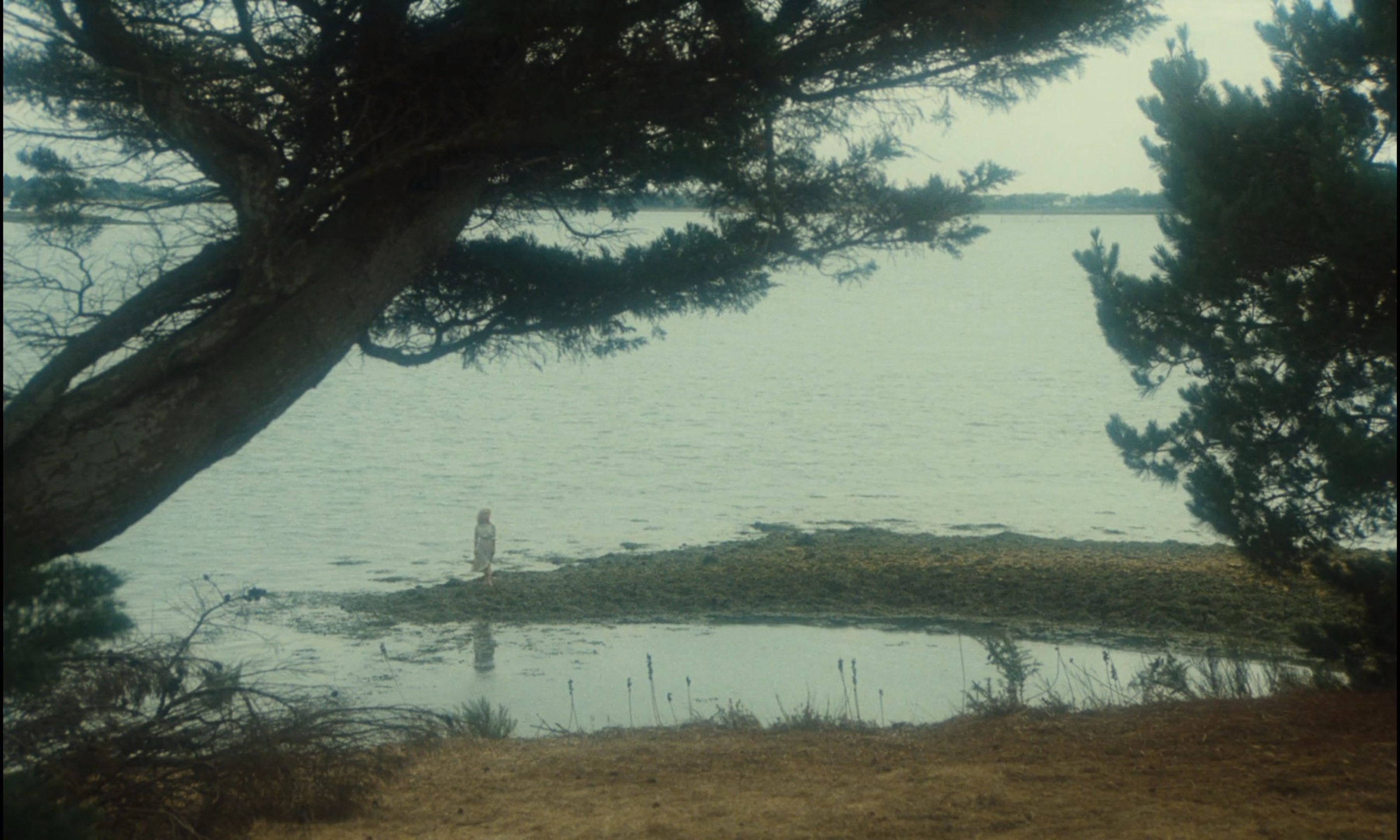 Mon Oncle d’Amerique (1980)