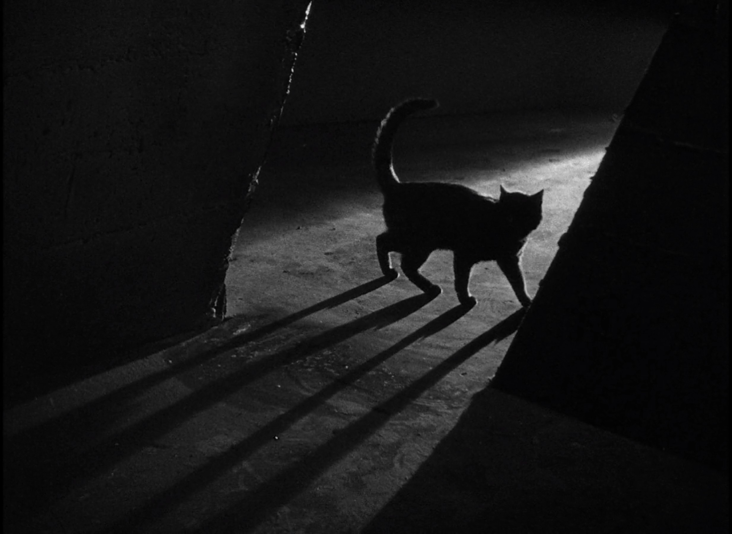 The Black Cat (1934)