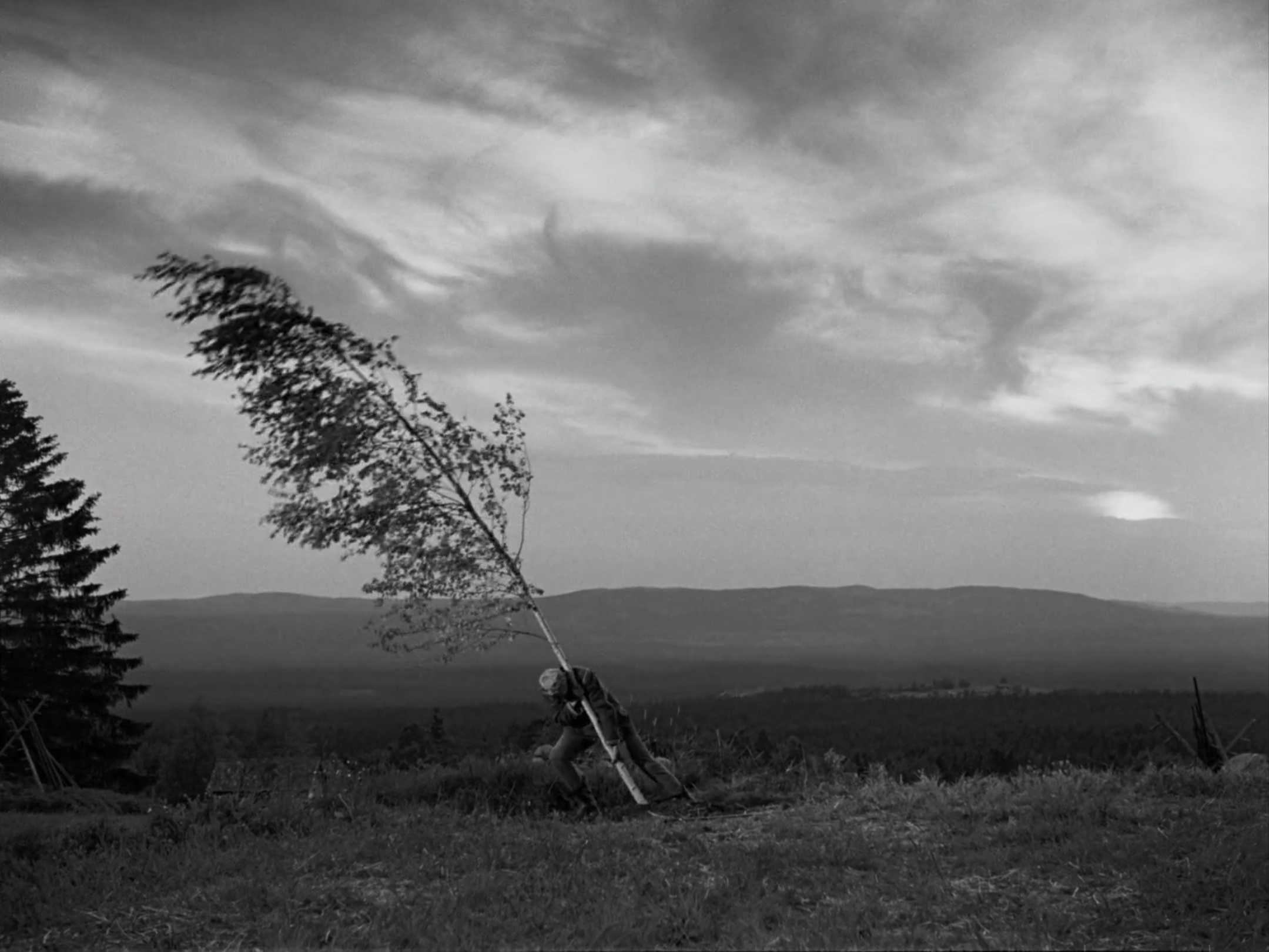 The Virgin Spring (1960)