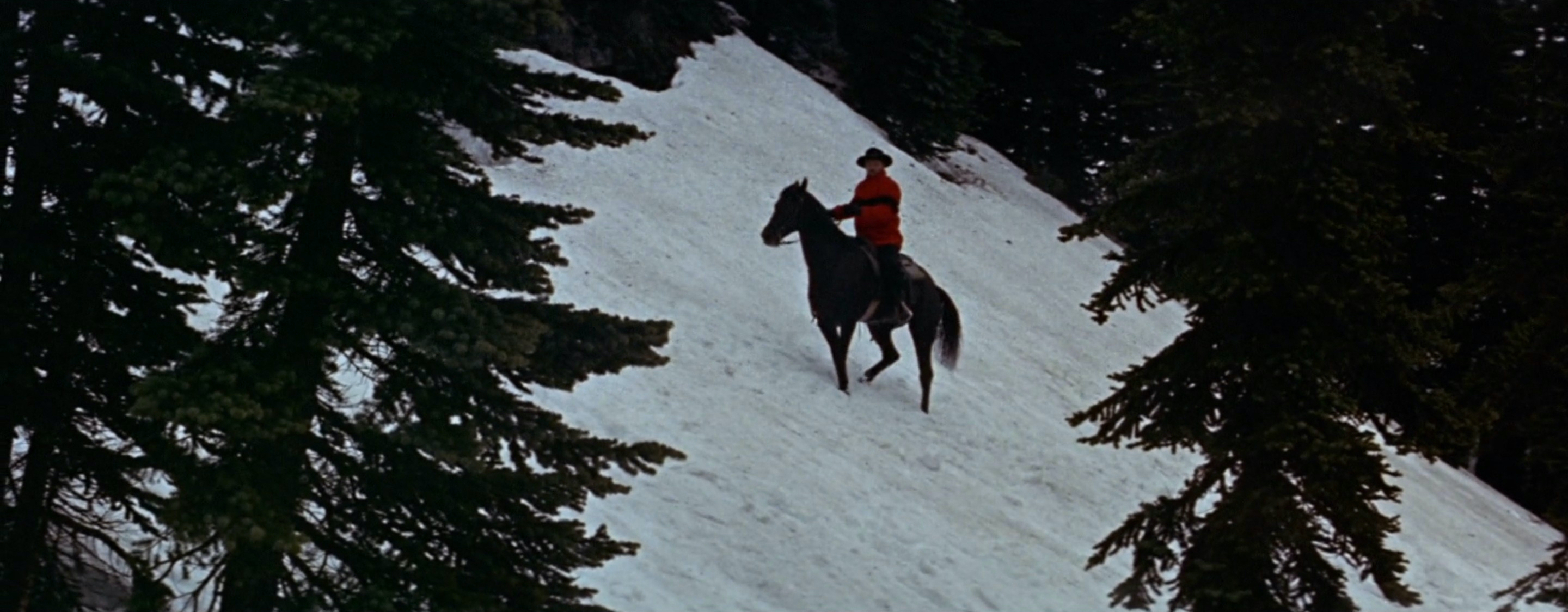 Track of the Cat (1954)
