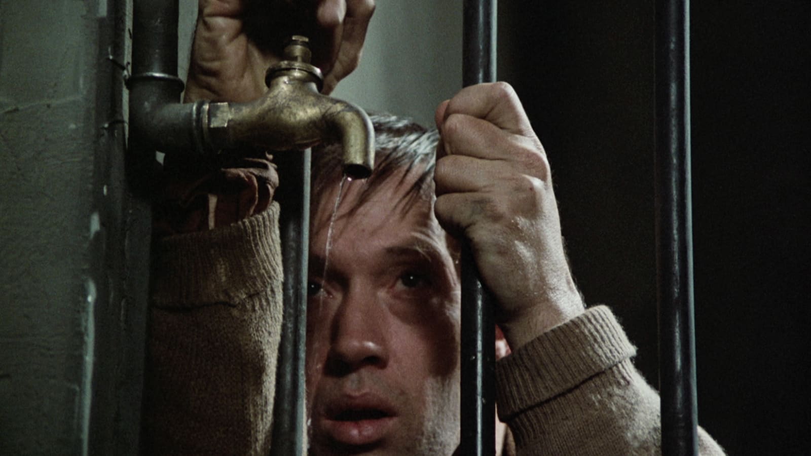 The Serpent’s Egg&nbsp;(1977)