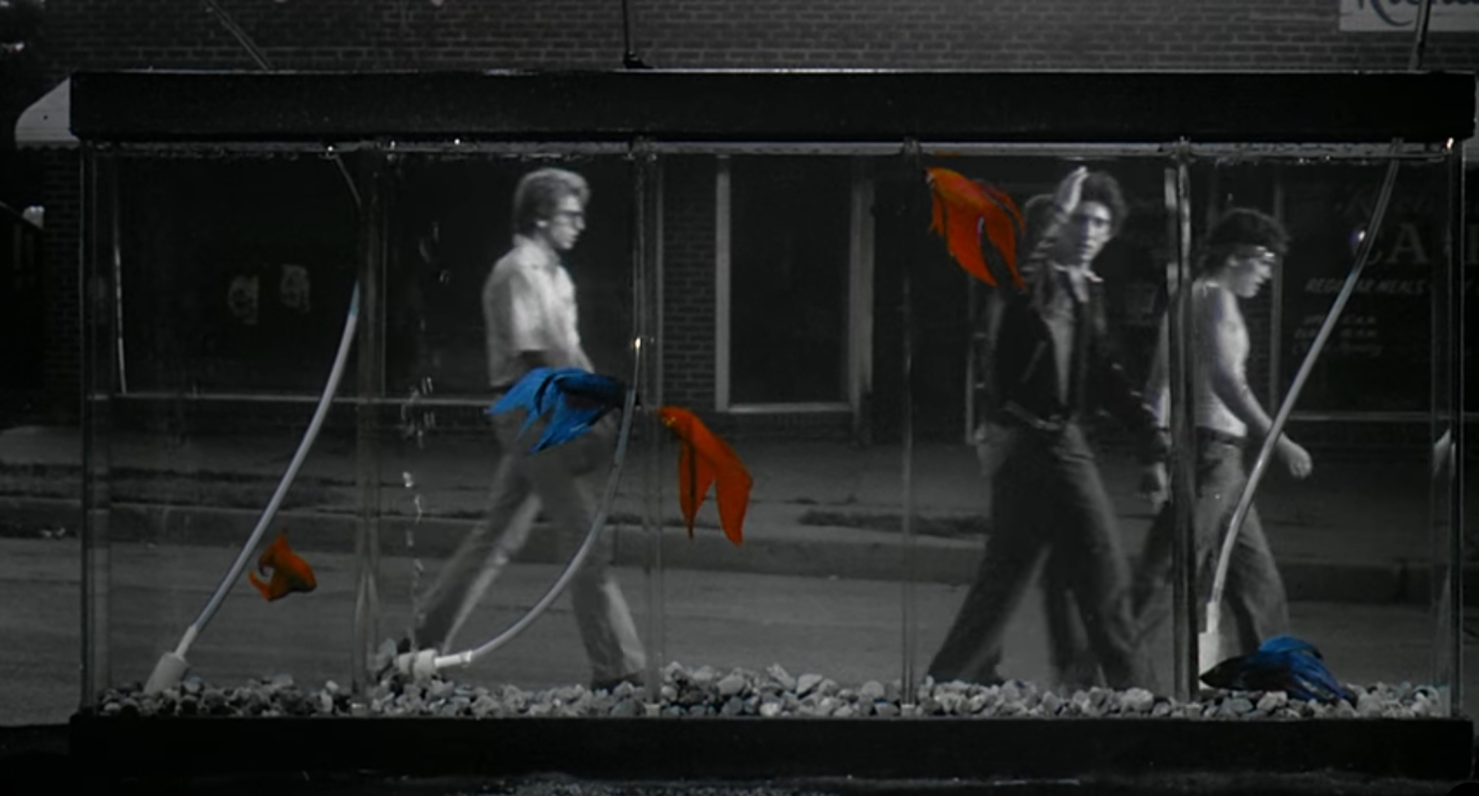 Rumble Fish (1983)